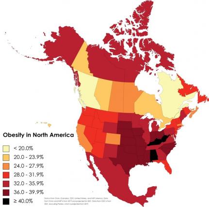 Obesity America